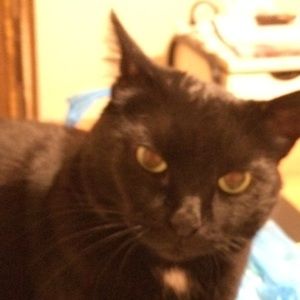 Meet your Posher, Julie